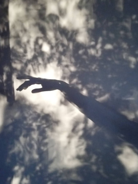 Размытые тени на стене. "Blurred Shadow Of Female Hand On The Wall". Чёрные тени на белой стене
. - Фото, изображение