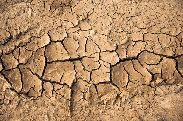 Surface colorée du sol sec avec des fissures noires profondes
 - Photo, image