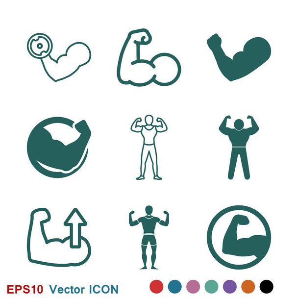 Logo do ícone do músculo, ilustração, símbolo do sinal do vetor para o projeto
 - Vetor, Imagem