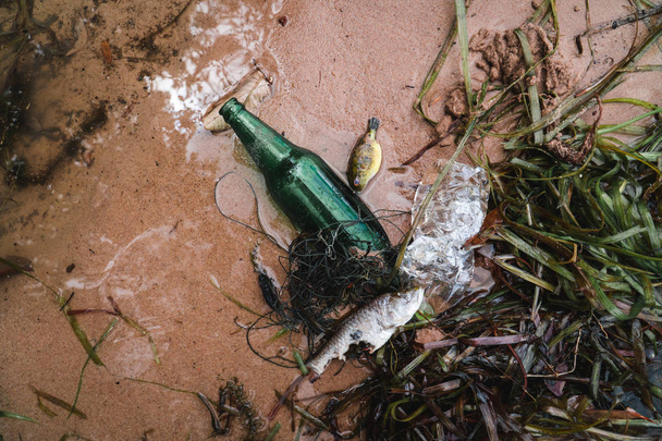 Bottle plastic in the river,environment  issue and pollution in water concept. - Foto, imagen