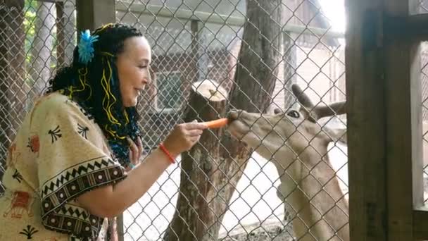 Ενήλικος κομψή χαρούμενη γυναίκα της καυκάσιας εθνικότητας ταΐζει ένα ελάφι με ένα καρότο μέσα από ένα κλουβί σε ένα πάρκο και του μιλά. - Πλάνα, βίντεο