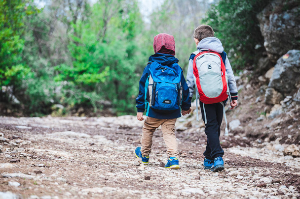 Два хлопчики з рюкзаками йдуть лісовою стежкою
. - Фото, зображення