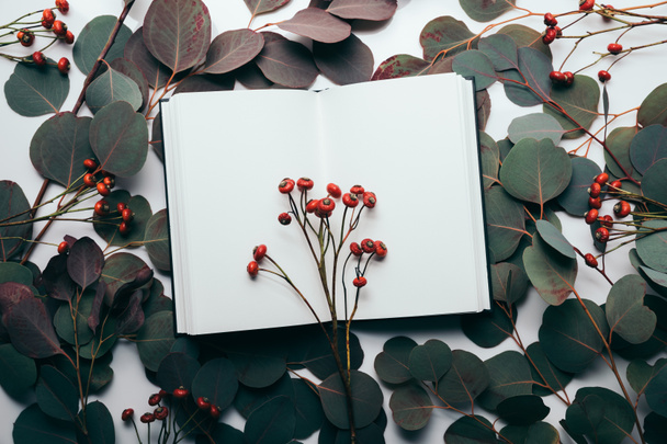 top view of eucalyptus leaves and red berries with empty notebook on white - 写真・画像