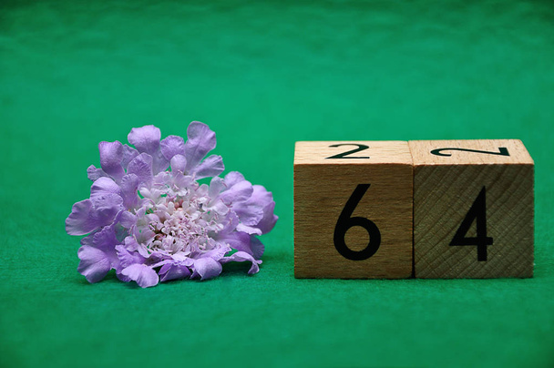 Номер шістдесят чотири з фіолетовою квіткою на зеленому тлі
 - Фото, зображення