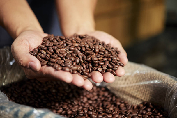 新鮮な焙煎コーヒー豆を手に持ち、良質を示す男性の手のクローズアップ - 写真・画像