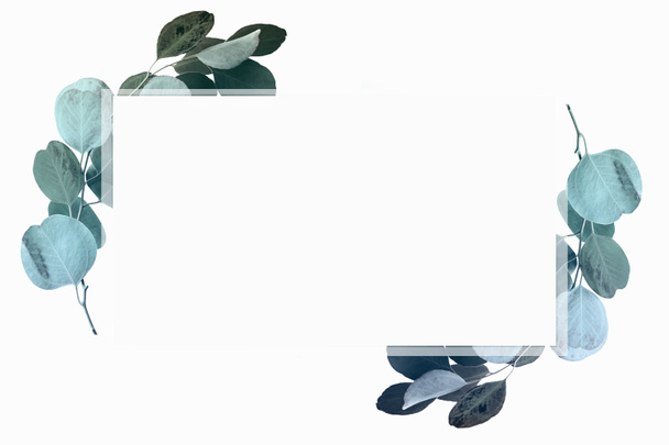 Florales Design mit grünen Eukalyptusblättern und Kopierraum - Foto, Bild