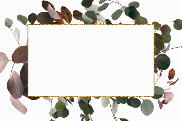Conception florale avec feuilles d'eucalyptus décoratives et cadre doré
 - Photo, image