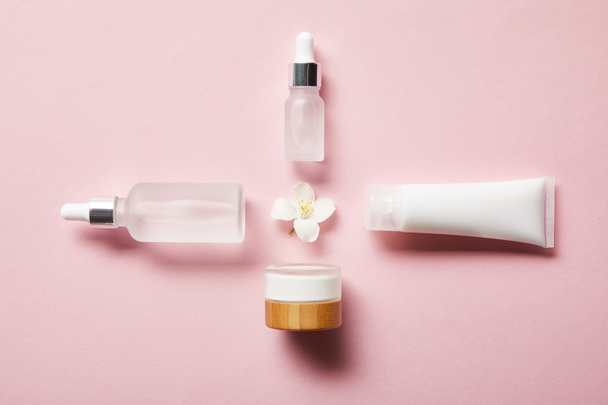 flat lay of cosmetic glass bottles, jar, cream tube with cream and jasmine flower in middle on pink  - Photo, Image