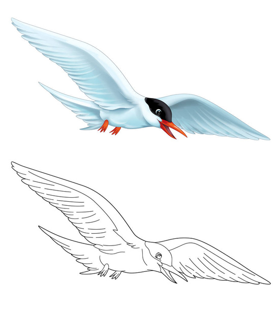 мультиплікаційна сцена з літаючим птахом ізольована на білому тлі з ілюстрацією до ескізу сторінки для дітей
 - Фото, зображення
