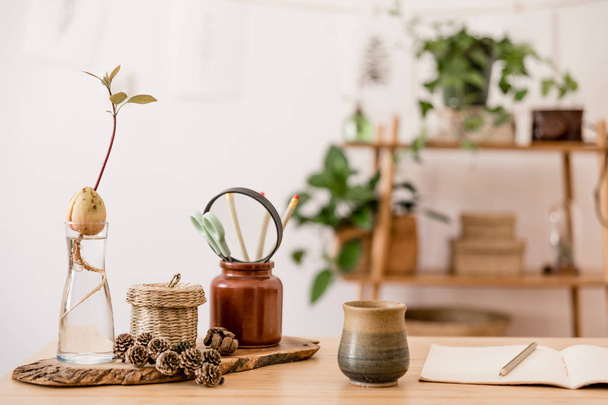 Close up of scandinavian and stylish interior of home space with wooden desk, design and forest accessories, avocado plant, bamboo shelf with plants and office supplies. Modern home decor.  - Zdjęcie, obraz