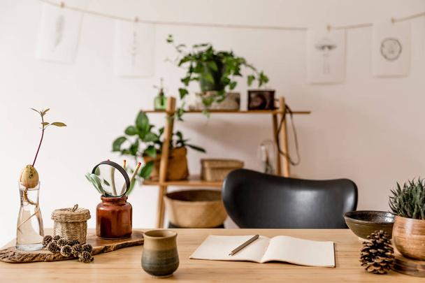 Stylish interior of home office space with wooden desk, forest accessories, avocado plant, bamboo shelf with a lot of plants and rattan baskets. Nice drawings on the white wall. Botanical home decor - 写真・画像