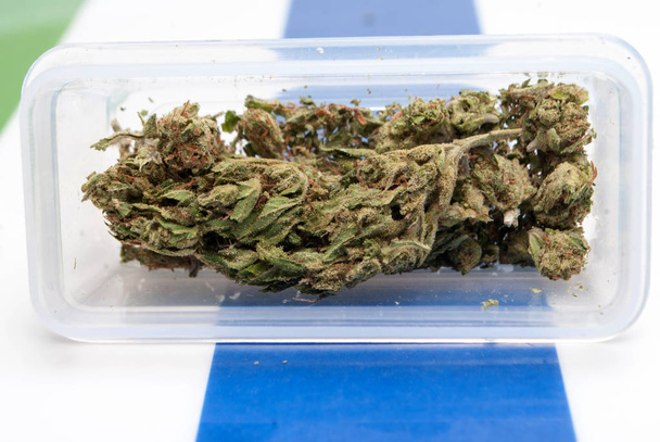 marijuana séchée dans un récipient en plastique sur fond rayé. Concept de toxicomanie. Concept de marijuana médicale
  - Photo, image
