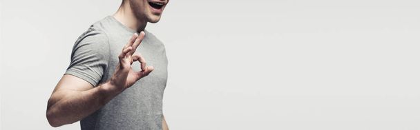 partial view of smiling man showing ok gesture isolated on grey, panoramic shot, human emotion and expression concept - Photo, Image