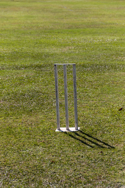 Kriketti
  - Valokuva, kuva