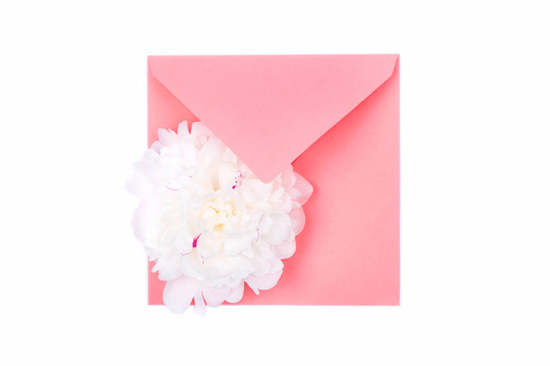 Beautiful tender white peony flower head on coral color envelope isolated on white background.  - Фото, изображение