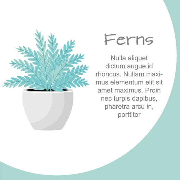 Vector Illustration. Plant in pot. Ferns flower. Flat style - Vector, Image