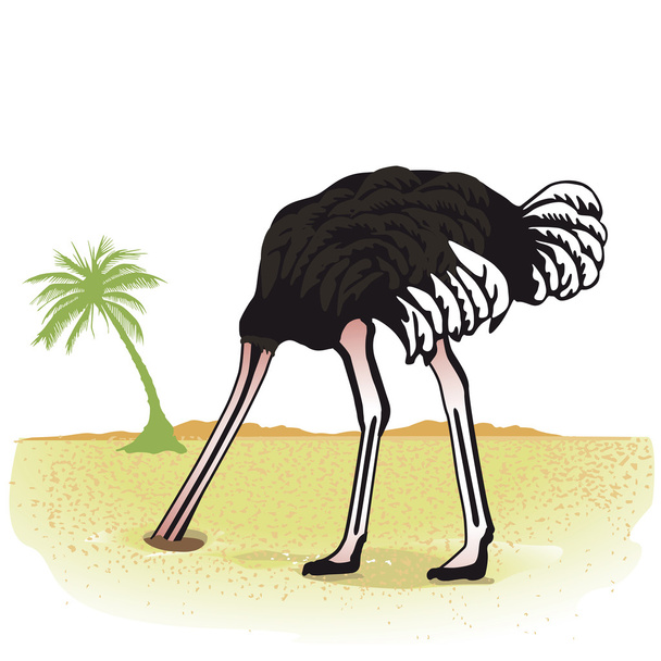 Ostrich hides its head in the sand - Vector, Image