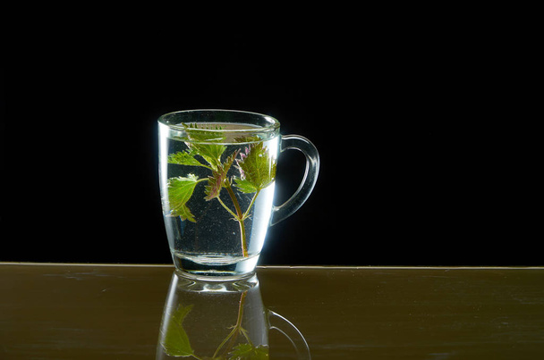 Cup of medicinal nettle tea on black background - Fotó, kép