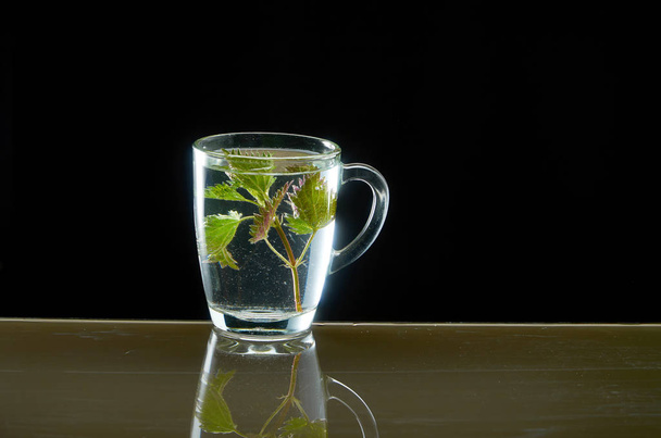 Cup of medicinal nettle tea on black background - 写真・画像