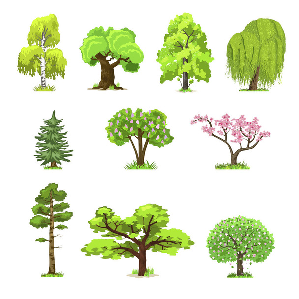 Drzewa liściaste w cztery pory roku - wiosna, lato, jesień, zima. Przyroda i ekologia. Ilustracja wektorowa zielonych drzew. - Wektor, obraz