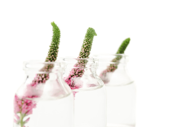 enfoque selectivo de botellas de vidrio con flores de verónica aisladas en blanco
  - Foto, Imagen