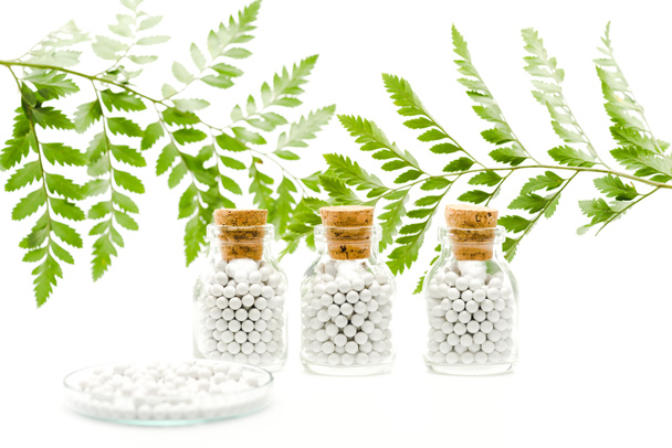 enfoque selectivo de píldoras redondas en botellas de vidrio con corchos de madera cerca de hojas verdes en blanco
  - Foto, Imagen