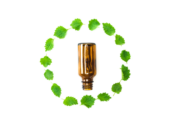 top view of small bottle near frame of green fresh leaves isolated on white  - Photo, Image