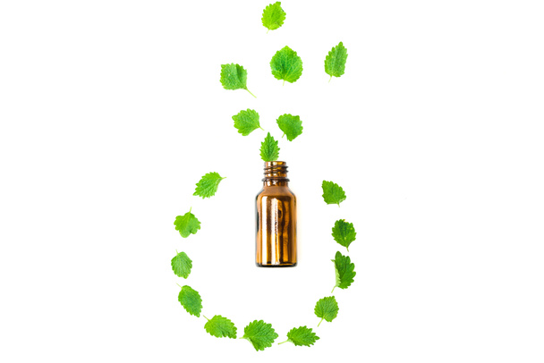 top view of bottle near green fresh leaves isolated on white  - Foto, Imagem