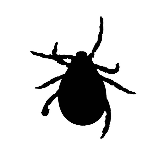 Black silhouette of a mite isolated on a white - Foto, Imagem