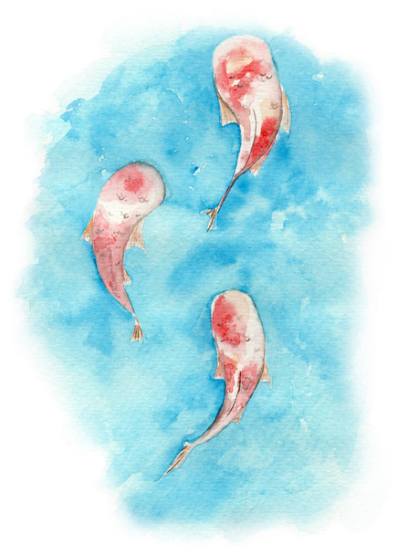 Watercolor illustration of koi carp fish in a pond - Photo, Image
