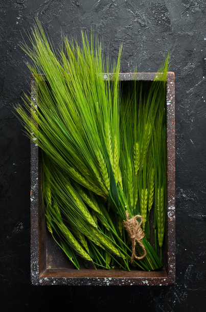 Green rye in a wooden box. On a wooden background. Top view. Free space for your text. - Zdjęcie, obraz