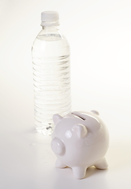 Water bottle and piggy bank isolated on - Valokuva, kuva