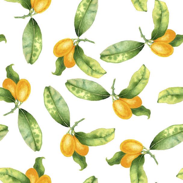 seamless pattern with kumquats drawing in watercolor - Photo, image