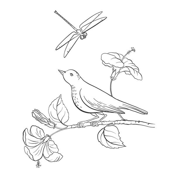 bird at tree branch - Vettoriali, immagini