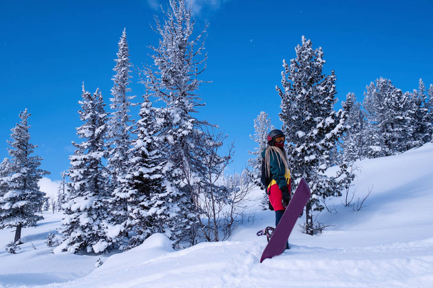 Woman freerider with snowboard on a snowy slope among the Alpine Christmas trees. - Foto, Imagen