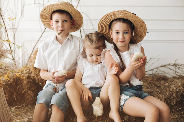 干し草の上に休む干し草の帽子をかぶったかわいい姉妹と兄弟 - 写真・画像