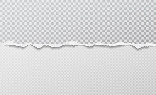 Piece of torn horizontal paper strip is on squared background. Vector illustration - Vector, Image