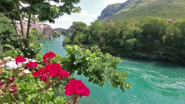 Vista desde la orilla del río hasta el viejo puente de Mostar y el río Neretva. Delante están las flores y la ciudad vieja en el fondo
. - Imágenes, Vídeo