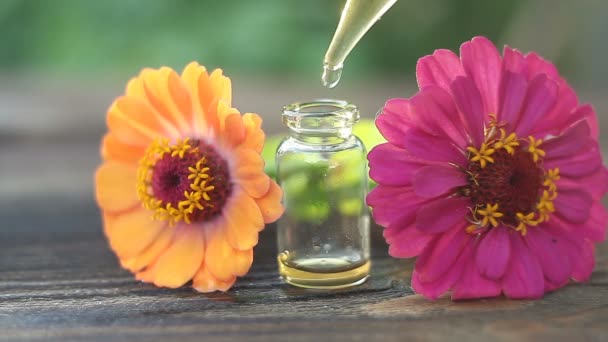 Zinnia essential oil in  beautiful bottle on wooden background - Footage, Video