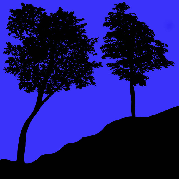 silhouette arbres contre le ciel
  - Photo, image