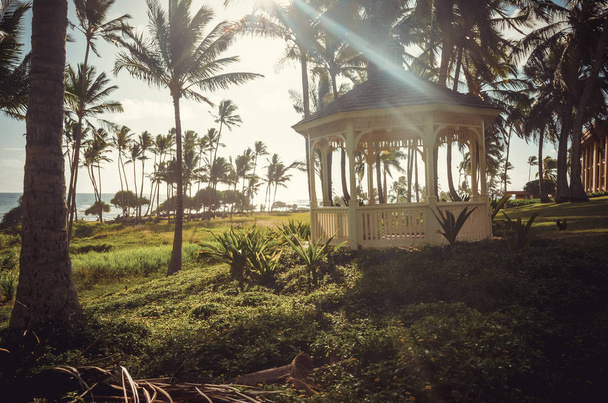 Padiglione in legno, palme, mare e quasi tramonto a Kauai, Stati Uniti
 - Foto, immagini