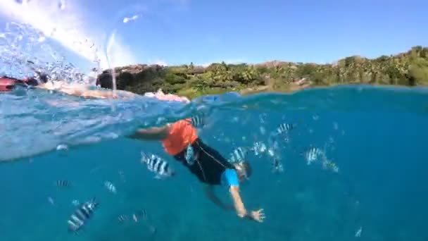 Plongée avec tuba aux Seychelles vue divisée
 - Séquence, vidéo