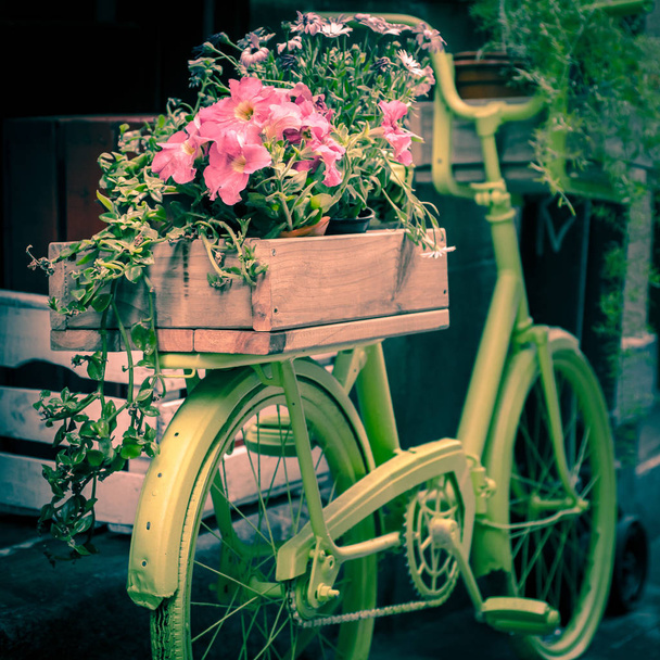 Stary rower zamieniony na doniczkę - Zdjęcie, obraz