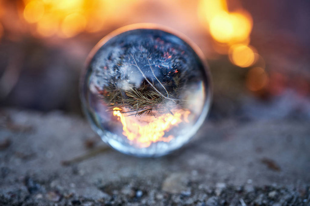 Η ανάποδα θέα μέσα από το lensball σε θολή φωτιά στο δάσος - Φωτογραφία, εικόνα