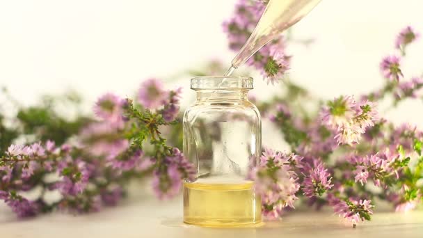 Calluna essential oil in  beautiful bottle on White background - Footage, Video