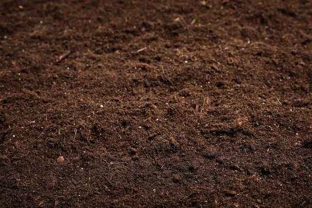 Textured fertile soil as background. Gardening season - Photo, Image
