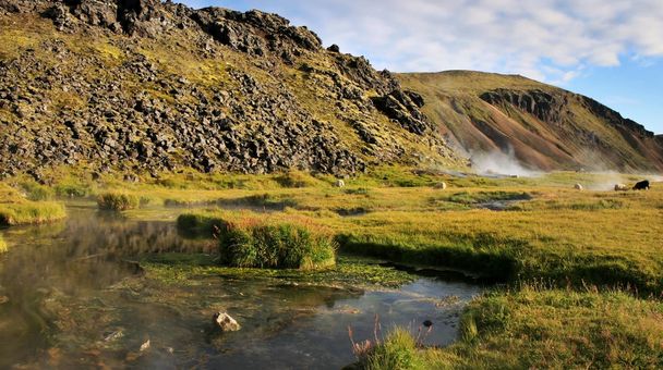 Природні гарячі джерела з великої рогатої худоби в сонячний день в Landmannalaugar Національний парк, Ісландія, широка Панорама. - Фото, зображення