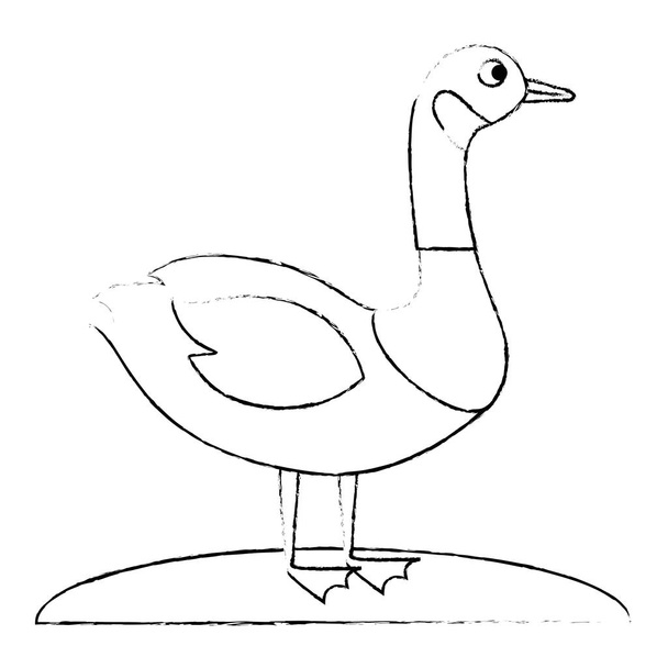 ícone de pato canadense selvagem
 - Vetor, Imagem