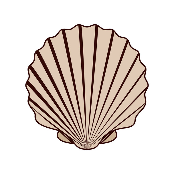 słodkie Seashell na morzu w białym tle - Wektor, obraz