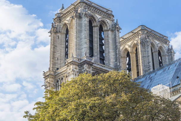 Notre Dame kathedraal op zomer zonnige close up - Foto, afbeelding